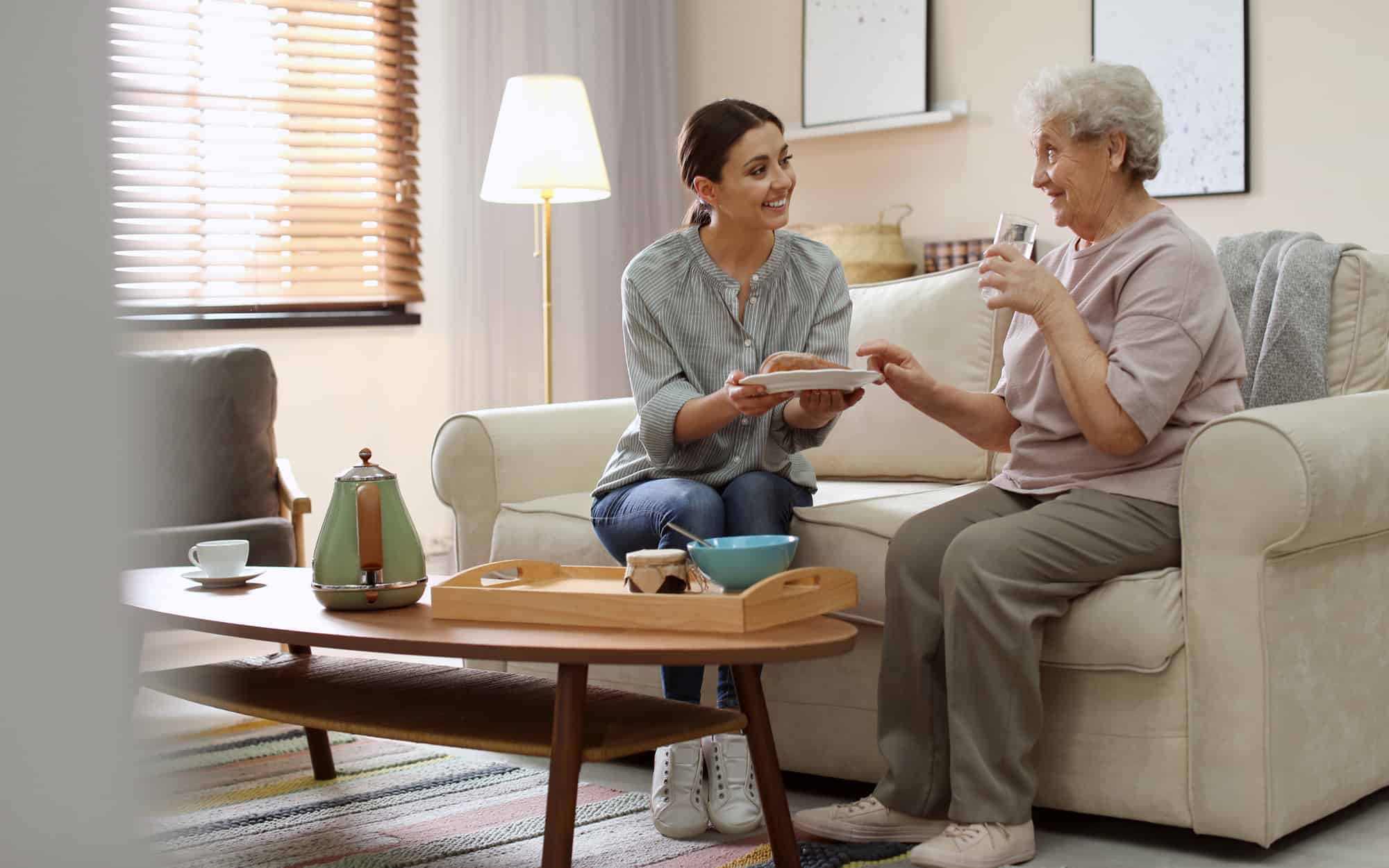 Alternatives to Nursing Homes