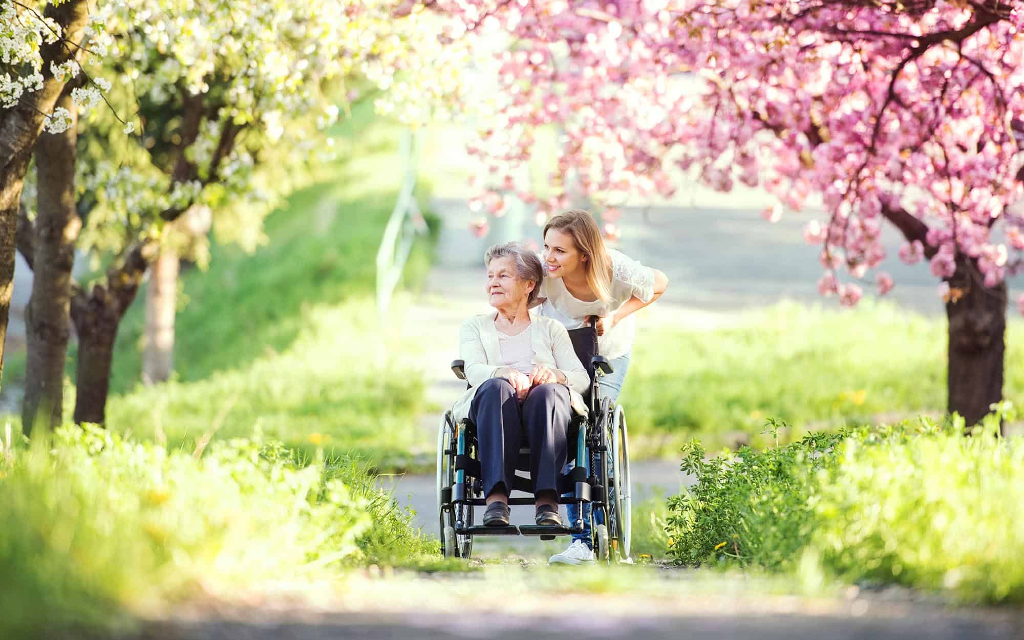 Elderly adult in wheelchair outside looking at the flowers with their adult child.