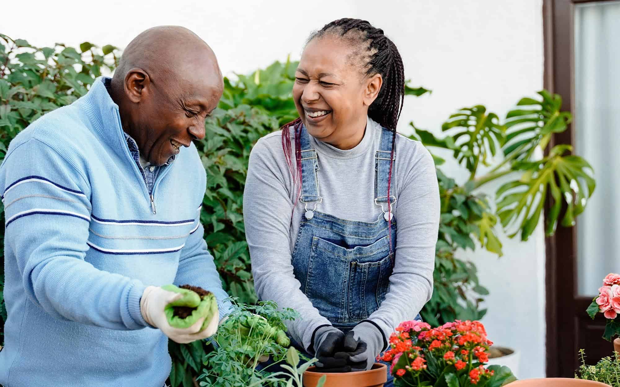 Two older adults gardening