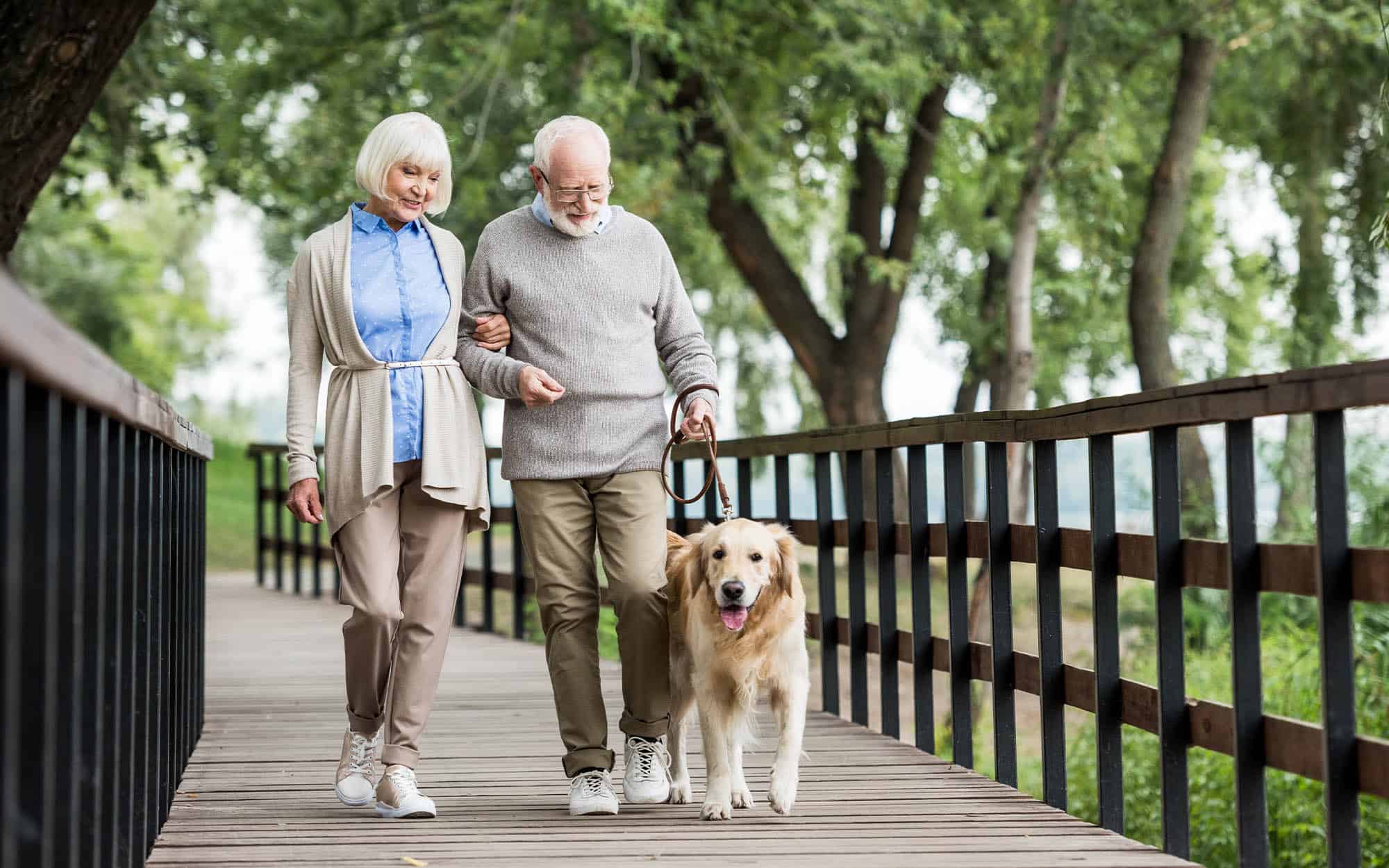 Two seniors walking with a dog